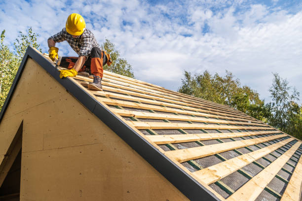 Best Roof Gutter Cleaning  in Canyon, TX